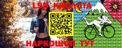 соль ск Лесосибирск