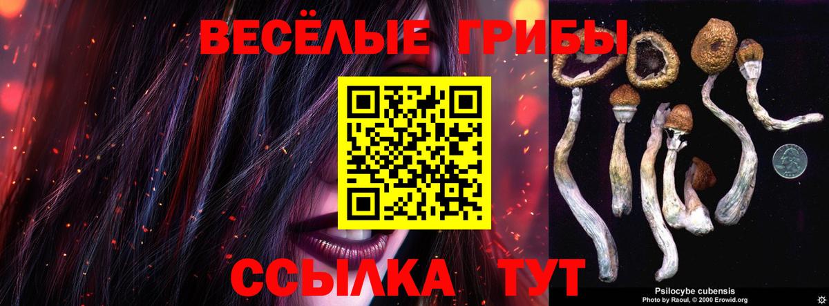 Псилоцибиновые грибы Psilocybe  Псилоцибиновые грибы Psilocybe  купить   Вход с VPN  Шарыпово 